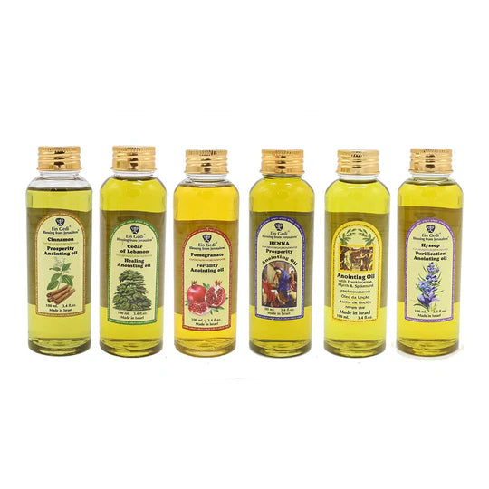 Lot of 6 x mix Ein Gedi Anointing Oil - 1 fl. oz from Holyland