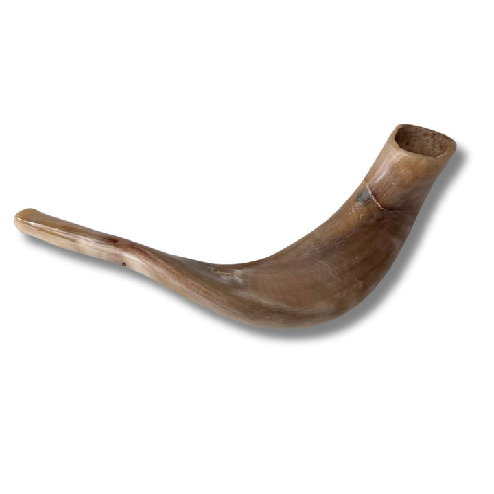 Authentic & Kosher Polished Ram's Horn Shofar from Israel