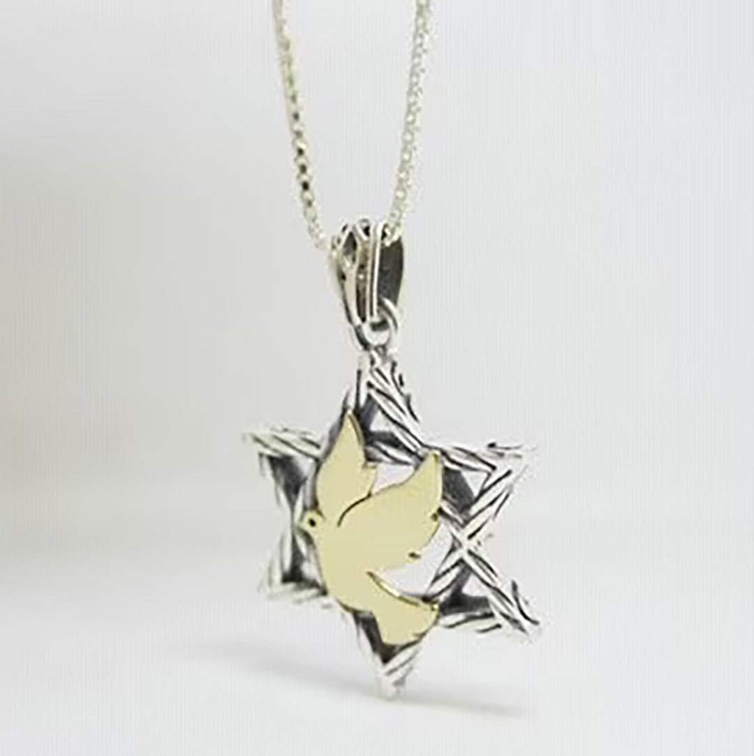 Star of David Necklace in Silver & 9K Gold | Israel Jewelry Holy Land - Dove of Peace Pendant | Love Israel Necklace | Black Friday Sale