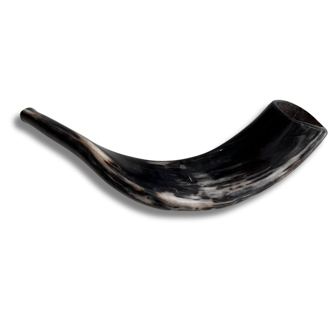 Authentic & Kosher Polished Ram's Horn Shofar from Israel