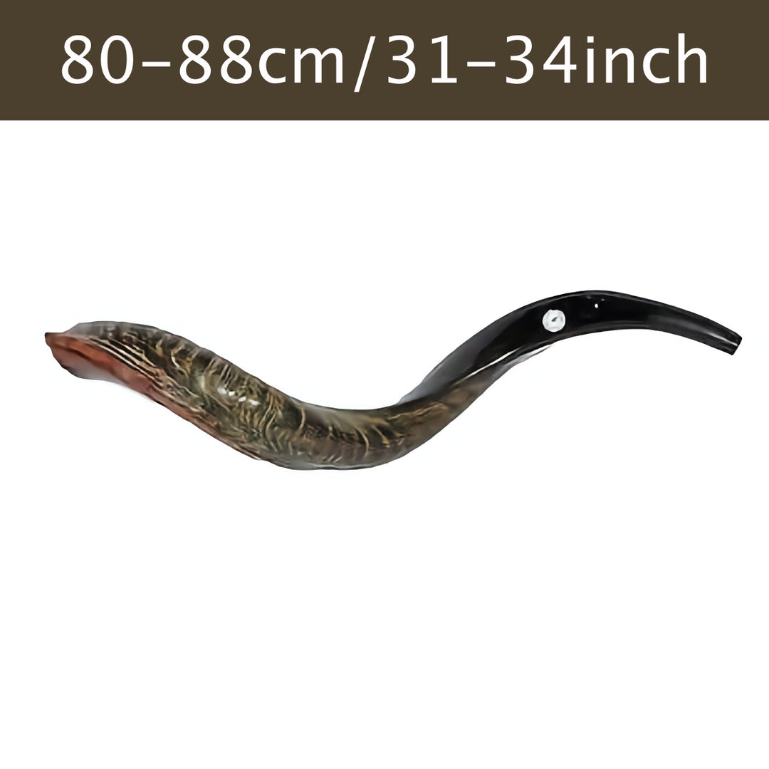 Authentic Yemenite Shofar 31"-34" / 80 cm -88 cm