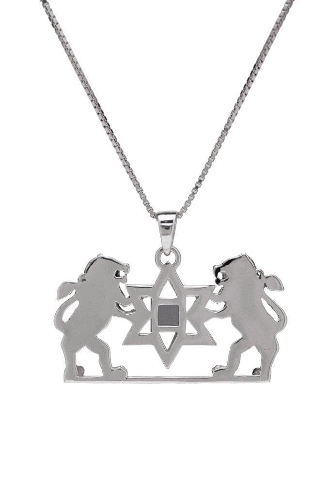 Nano Sim OB Silver Pendant - Lion of Judah with Star of David From the Holy Land - Spring Nahal