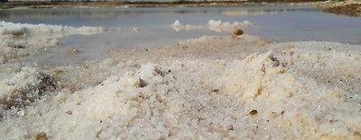 Platinum Black Coarse Salt From The Dead Sea 3.87oz / 110 grams - Spring Nahal