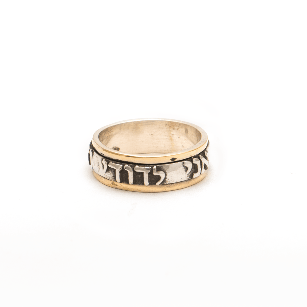 Spinning Ring 9K Gold and Sterling Silver Kabbalah bible quotes - Spring Nahal