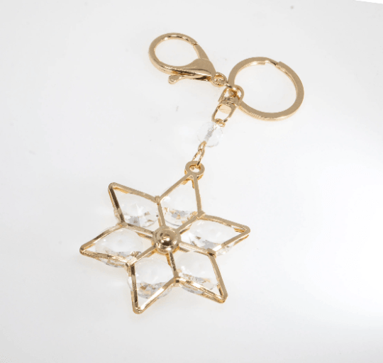 Star of David Keychain from Jerusalem Holyland - Spring Nahal